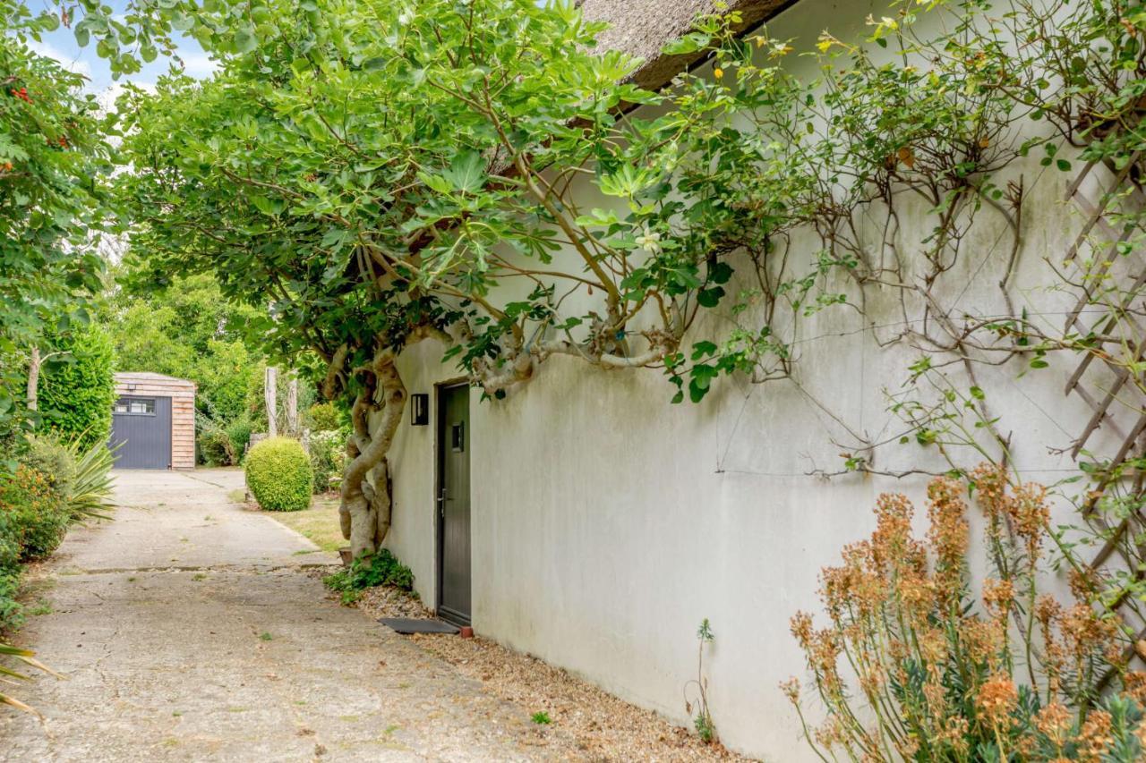 Little Thatch Lovely 2-Bed Near Weymouth Radipole Dış mekan fotoğraf